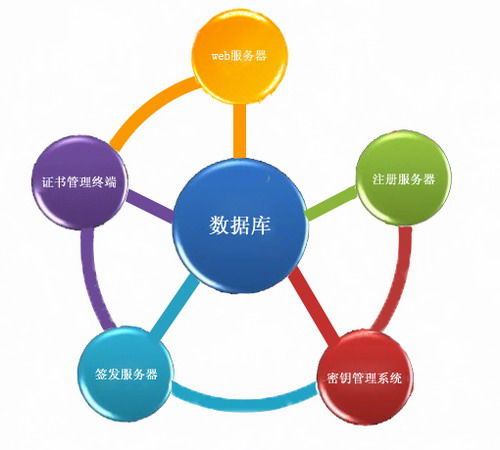 SRT1102身份認證系統 構建企業安全管理的堅固基石